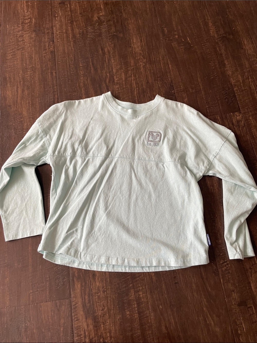 Kids Long-Sleeve Crewneck Top in Light Mint Sz XL kids Disney spirit jersey